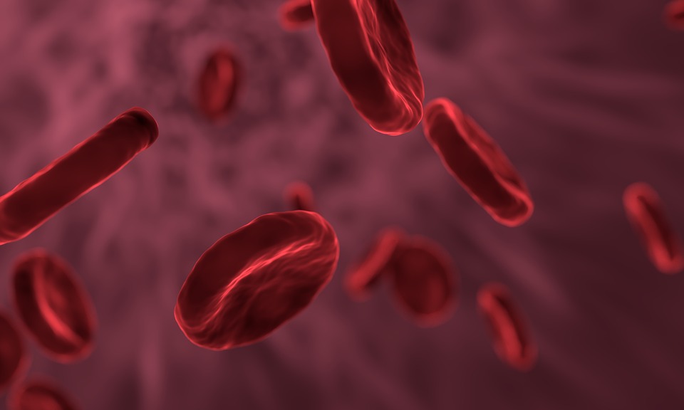 red-blood-cells-3188223_960_720