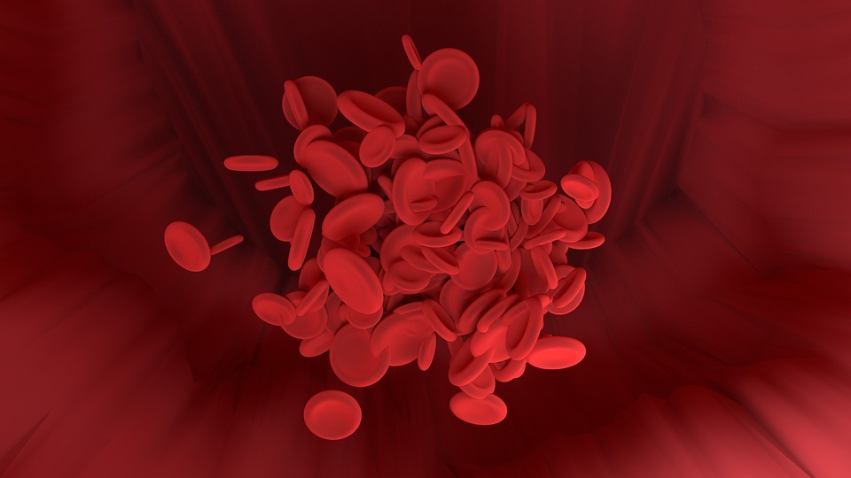 red-blood-cell-4216070_960_720