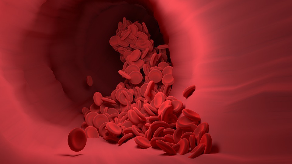 red-blood-cell-4256710_960_720