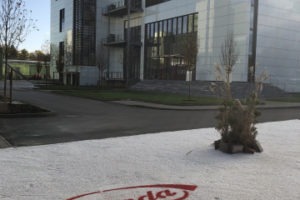 Pharmacuetical Business review