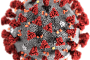 Pharmacuetical Business review