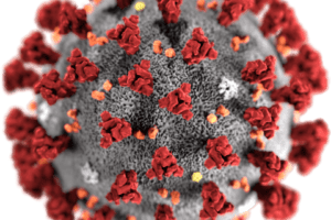 Pharmacuetical Business review