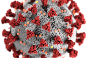 Pharmacuetical Business review