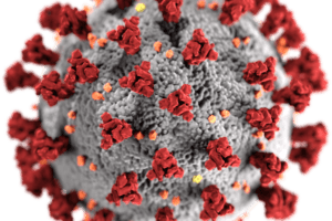 Pharmacuetical Business review