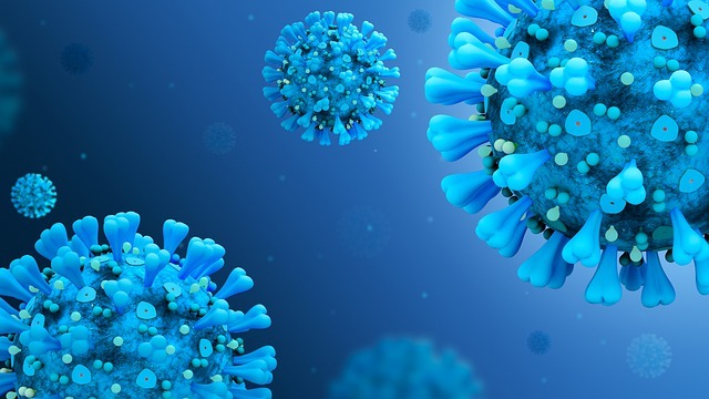 ImmunityBio’s hAd5 vaccine candidate for Covid-19 succeeds in preclinical study