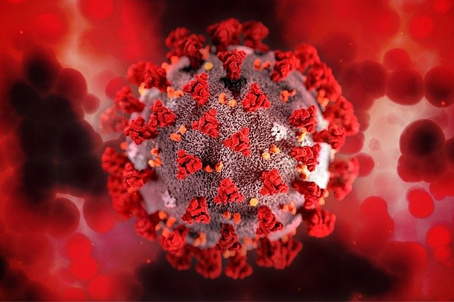 US FDA declines Humanigen’s request for EUA for Covid-19 antibody lenzilumab