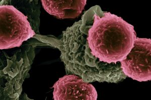 InxMed raises funding to advance new cancer therapies