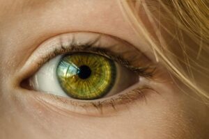 Avista Therapeutics, Roche partner to develop AAV gene therapy vectors for eyes