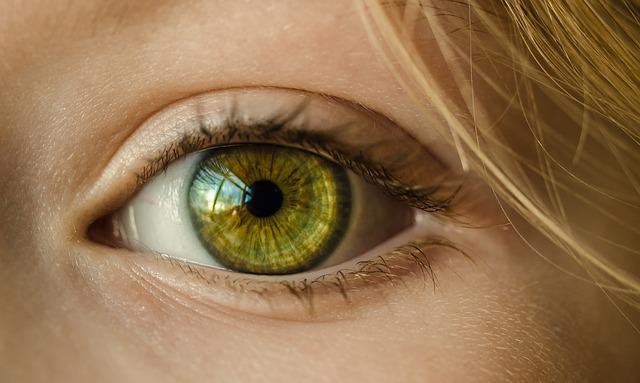 Avista Therapeutics, Roche partner to develop AAV gene therapy vectors for eyes