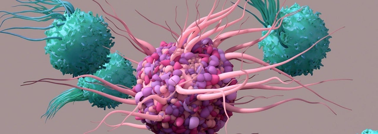 Turnstone, Moffitt Cancer Center partner to develop TIL cell therapies - Vimarsana News