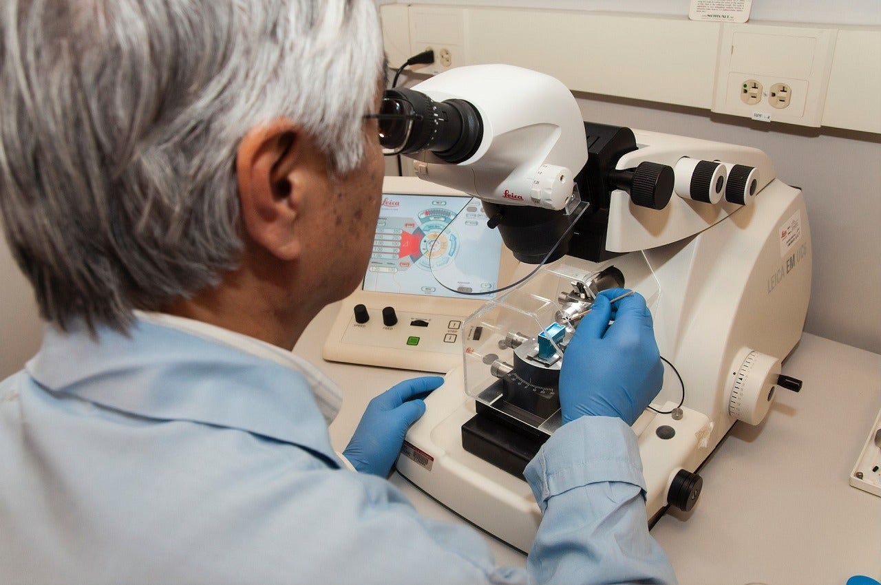 EpiVax partners with Intravacc, CEPI for betacoronavirus vaccine - Vimarsana News