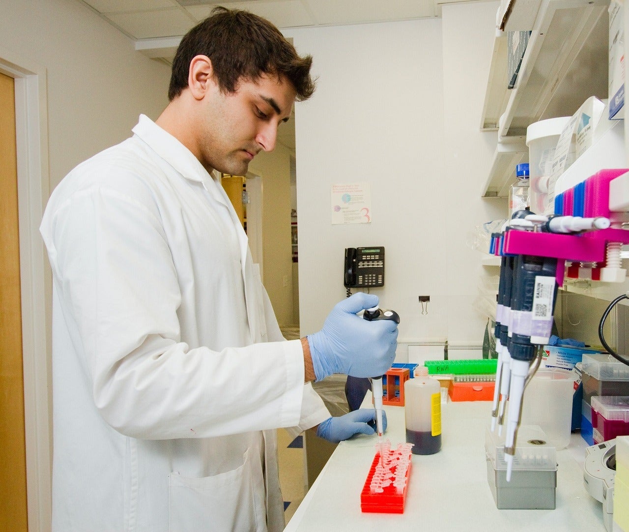 Life Bio, Forge to develop gene therapies for aging-linked diseases - Vimarsana News