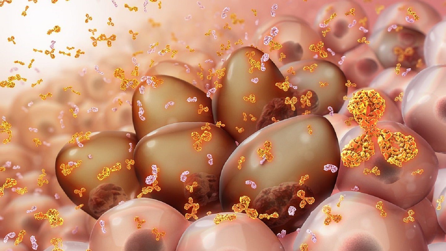 EC grants CMA to Janssen's Talvey for multiple myeloma - Vimarsana News