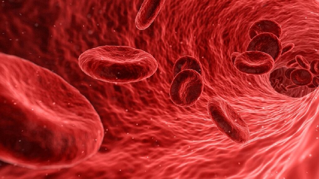 1200px-Red_Blood_Cell