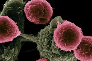 US FDA issues guidance for Citius’ lymphoma treatment BLA