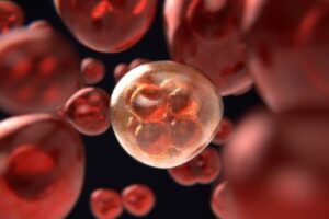 Phenomic AI, Astellas partner to develop solid tumour cell therapies
