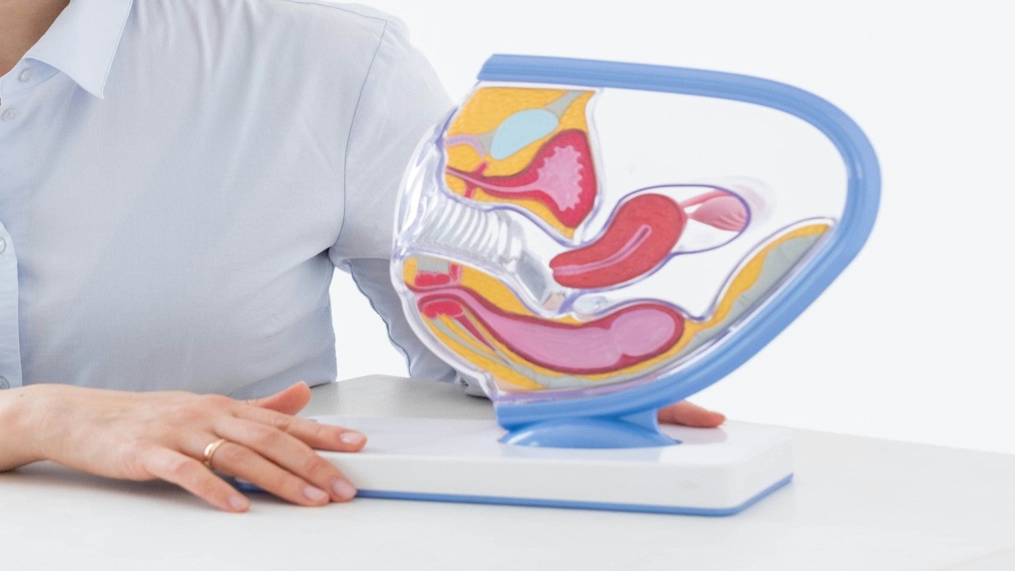 US FDA accepts sBLA for GSK's Jemperli for broader endometrial cancer use - Pharmaceutical Business review - Vimarsana News