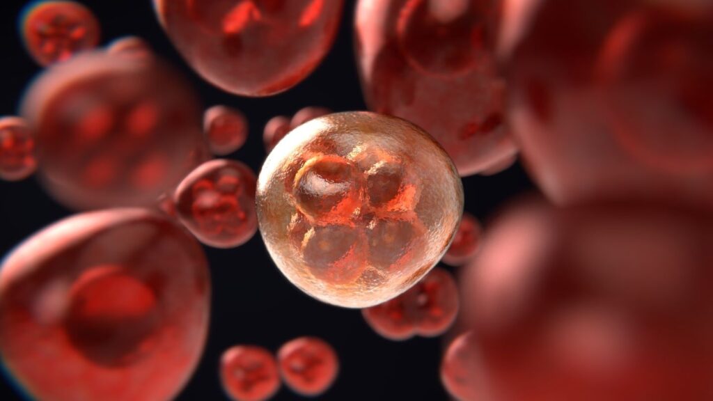 Tisagenlecleucel will be made available for routine use on the NHS for treating B-cell acute lymphoblastic leukaemia. Credit: Colin Behrens from Pixabay.