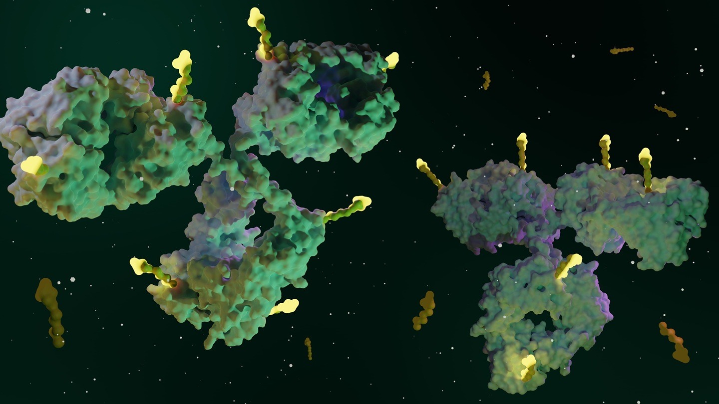 Day One concludes Mersana Therapeutics acquisition