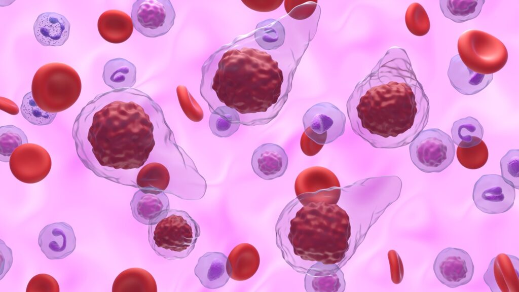 Primary,Myelofibrosis,(pmf),Cells,In,Blood,Flow,-,Isometric,View