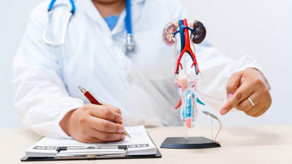 A,Doctor,With,Suspected,Prostate,Cancer,Using,A,Male,Reproductive