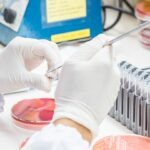 Pharmaceutical Business Review