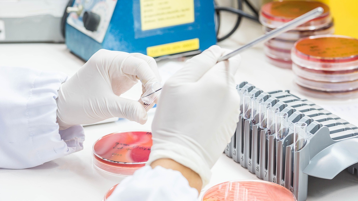 Syngene and VivaMed collaborate on therapeutic programmes