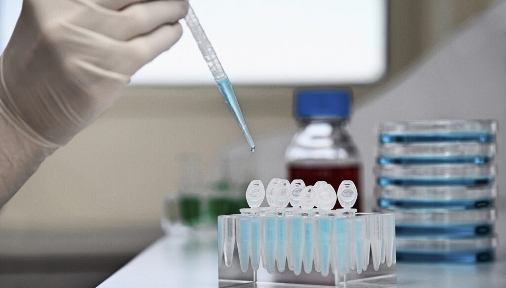 With optimised CAR-sequence intellectual property and cell-selective LNP technology, Liberate Bio can advance in vivo CAR-M therapies. Credit: sirtravelalot / Shutterstock.com.