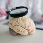 Pharmaceutical Business Review