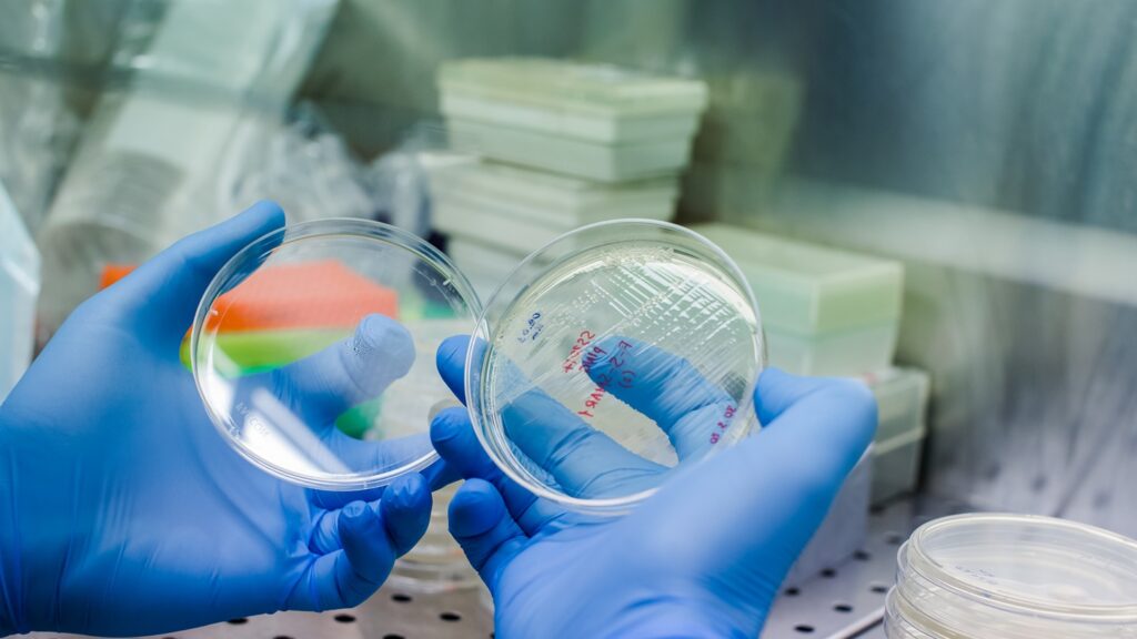 The capital will be used to progress Candid’s T-cell engager portfolio through key milestones. Credit: Vshivkova / Shutterstock.com.