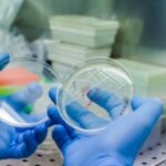 Pharmaceutical Business Review