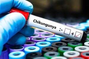 Bavarian Nordic and SII sign agreement for chikungunya vaccine production