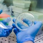 Pharmaceutical Business Review