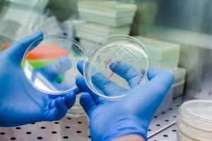 uBriGene and Cellinfinity BIO collaborate to accelerate in vivo CAR-T therapies