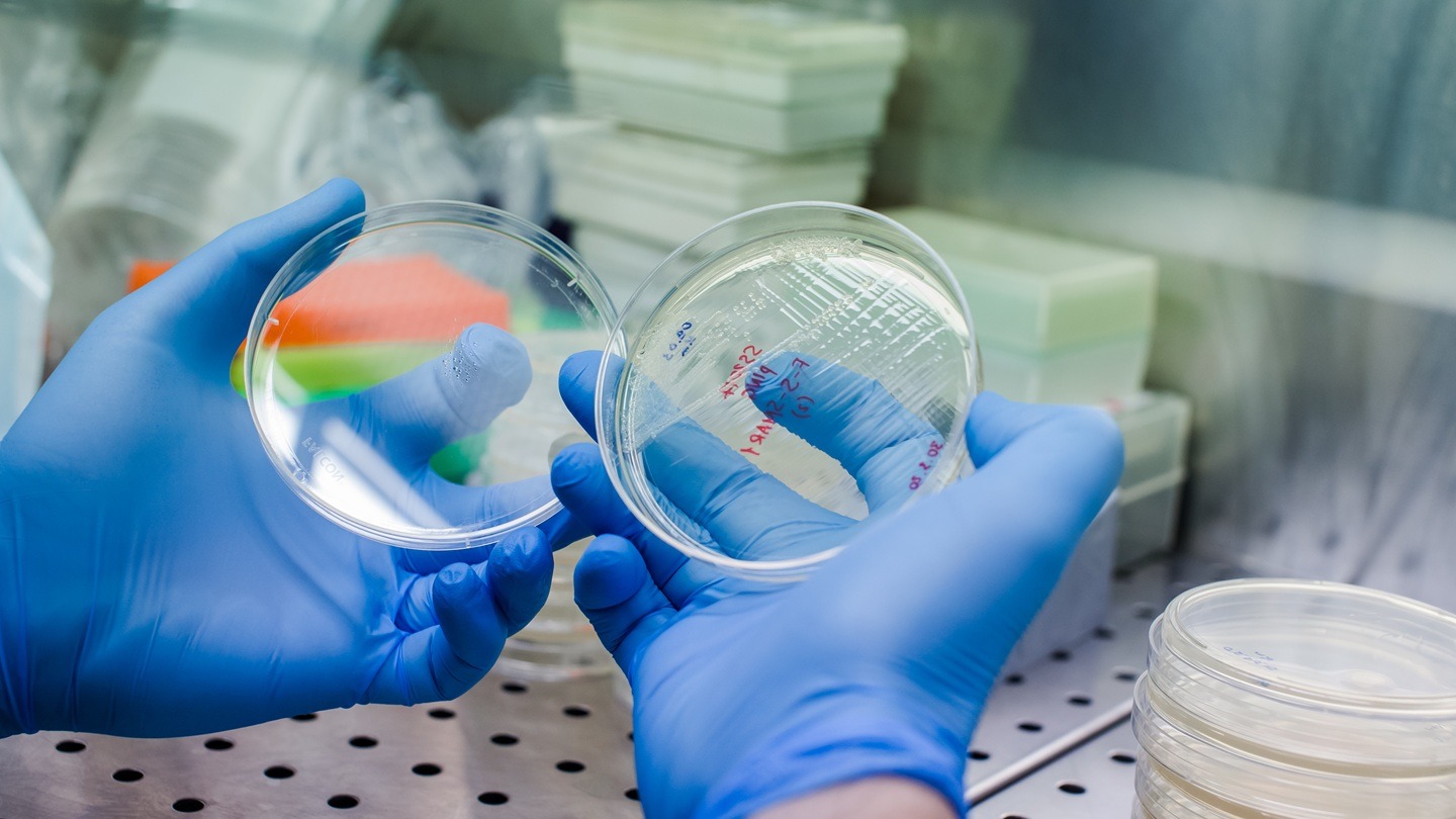 uBriGene and Cellinfinity BIO collaborate to accelerate in vivo CAR-T therapies