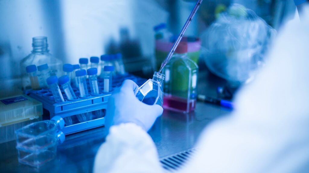 Symeres will support wider development by profiling compounds using its synthesis, validation services. Credit: murat photographer / Shutterstock.com.