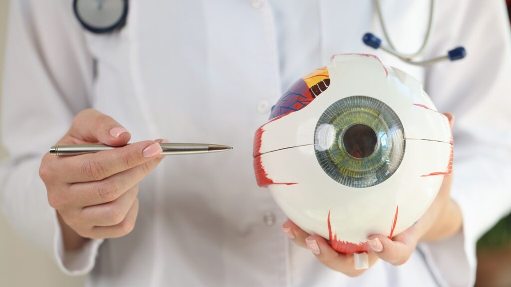 RTx-015 is an optogenetic gene therapy targeting RP causing vision loss and blindness. Credit: megaflop / Shutterstock.com.