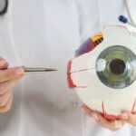 Pharmaceutical Business Review