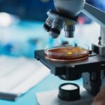Pharmaceutical Business Review