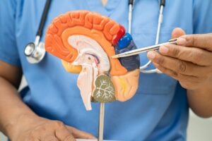 Autobahn’s elunetirom receives FDA fast track designation to treat adjunctive bipolar
