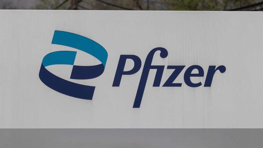 The portfolio consists of eight drug candidates originating from Innovent Biologics and four discovery programmes proposed by Pfizer. Credit: Jonathan Weiss / Shutterstock.com.