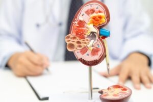SERB signs agreement to acquire Idefirix rights for $133.6m
