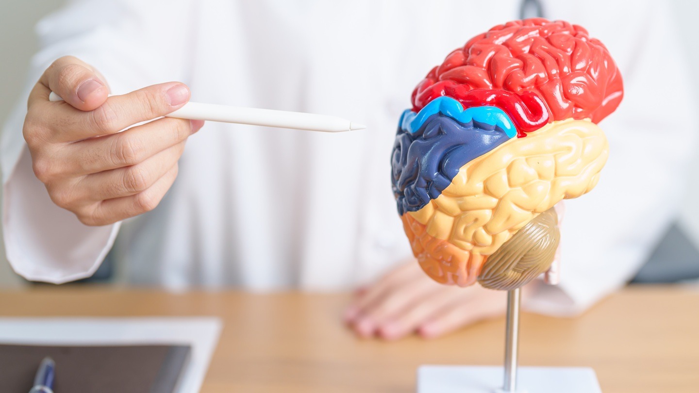 EMA validates Bayer’s asundexian application for ischaemic stroke