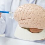 Pharmaceutical Business Review