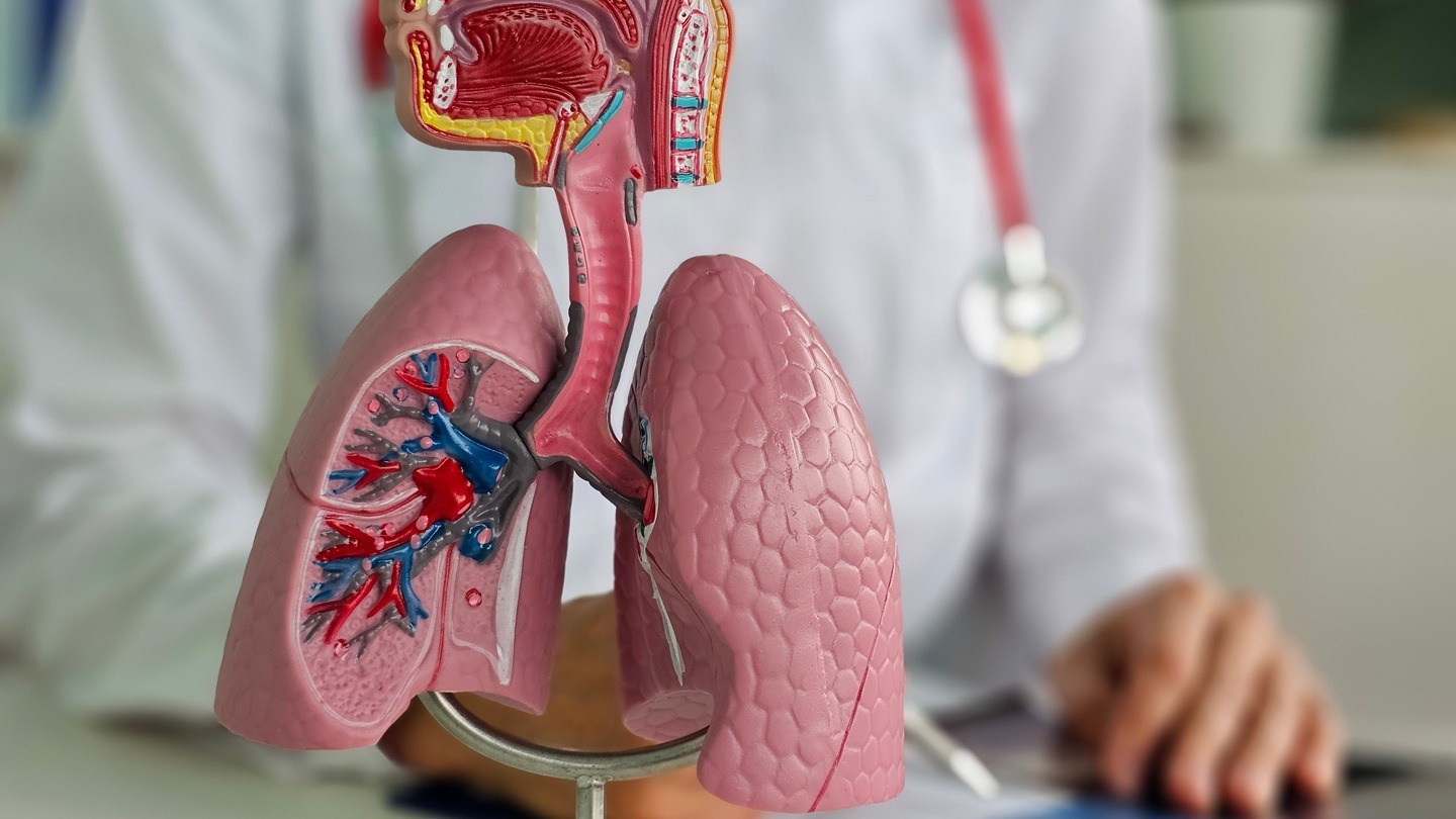 Mereo BioPharma and Sentynl Therapeutics sign licensing deal for alvelestat