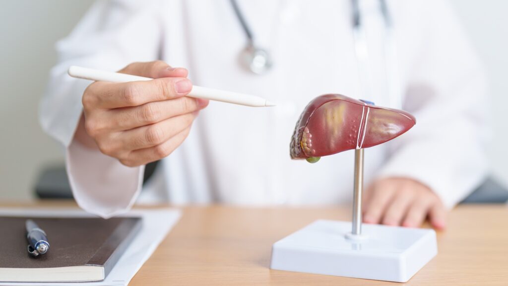 The funds will advance AHB-137, an antisense oligonucleotide therapy for chronic hepatitis B, towards Phase III and commercial readiness. Credit: Jo Panuwat D / Shutterstock.com.