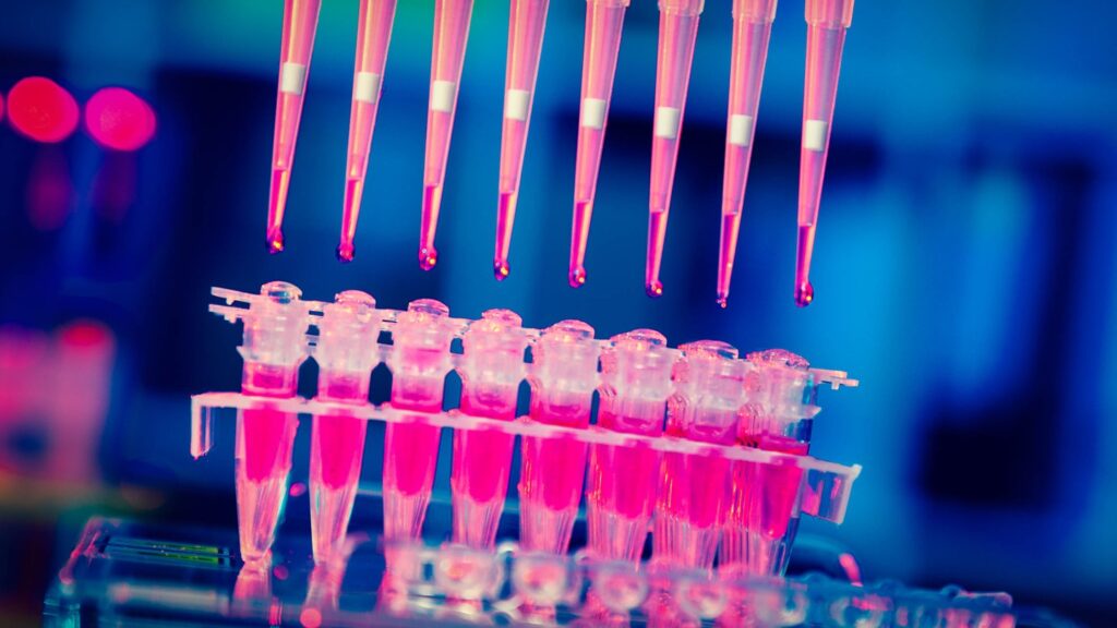 The partnership intends to validate selected tumour-specific targets for therapies that selectively attack cancer cells while reducing impact. Credit: luchschenF / Shutterstock.com.