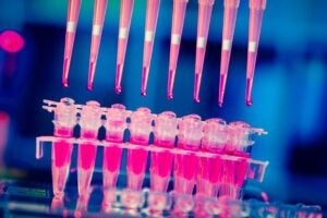 Boehringer and Envisagenics to develop precision cancer therapies