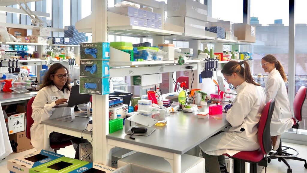 Basecamp’s initial therapeutic focus is in vivo cell therapy, which involves reprogramming the cells of a patient inside the body. Credit: Basecamp Research.