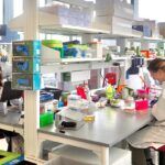 Pharmaceutical Business Review